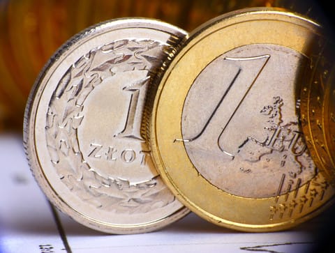 image Euro coin and Zloty coin