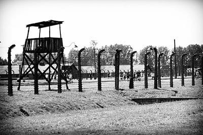 UN releases holocaust documents
