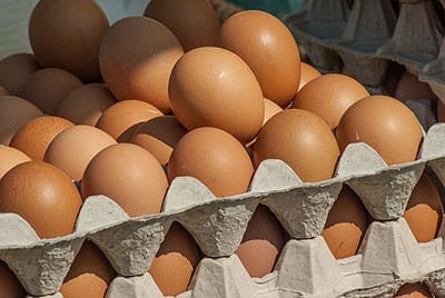 Polish eggs under scrutiny