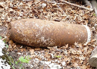 Hundreds of grenades and projectiles from World War II found in Polish woods