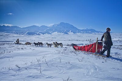 Polish man enters 1000-mile Yukon sled dog race - without dogs