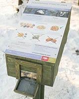 Free bird food distributors in parks in Polish city