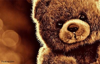 Polish Ministry of Defence get cuddly