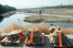 Vistula-finds