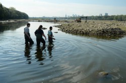 archaeologists-in-river-bed-Vistula