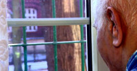 image Felix looks out window