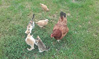 It is quite an extraordinary family, but it seems to be working 