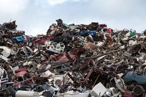 People have almost lost thousands, accidentally throwing money in the trash