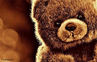 teddy bear